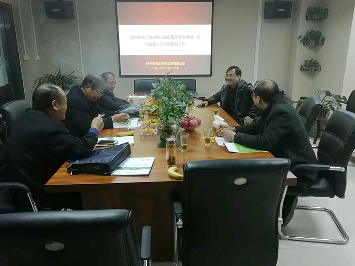 河南省經(jīng)濟戰(zhàn)略委員會專家組蒞臨綠豐環(huán)保檢查指導工作