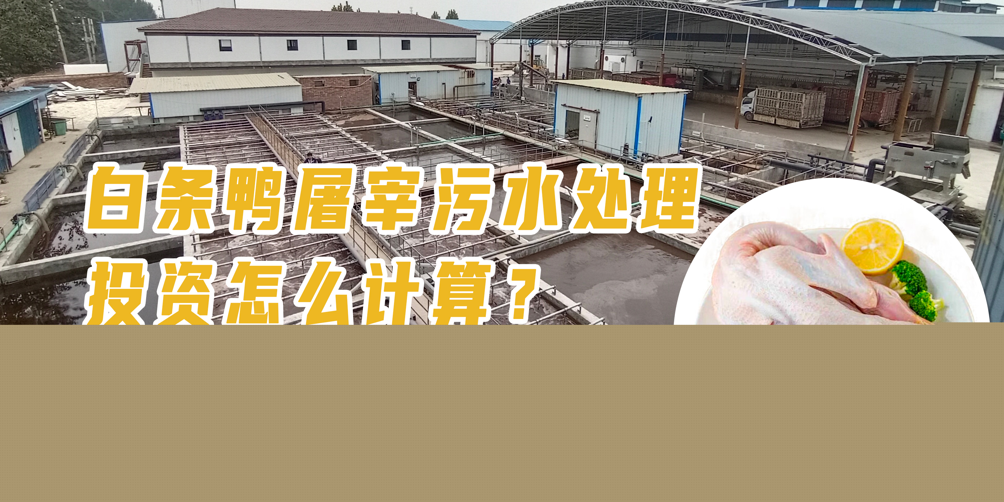 白條鴨屠宰污水處理投資怎么計算<div   id=