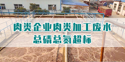 肉類企業(yè)肉類加工廢水總磷總氮超標(biāo)怎么處理<div   id=